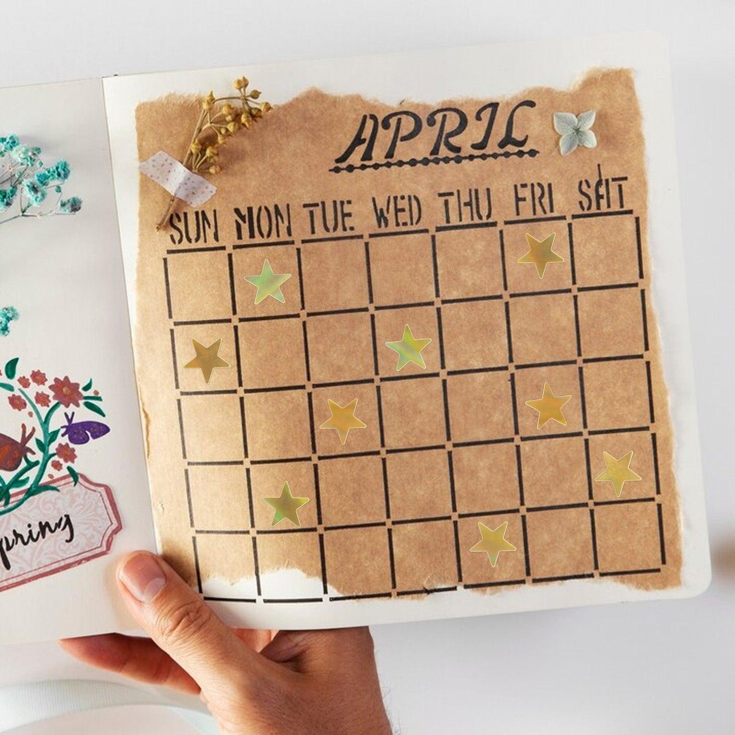 Star Shape Vinyl Sticker