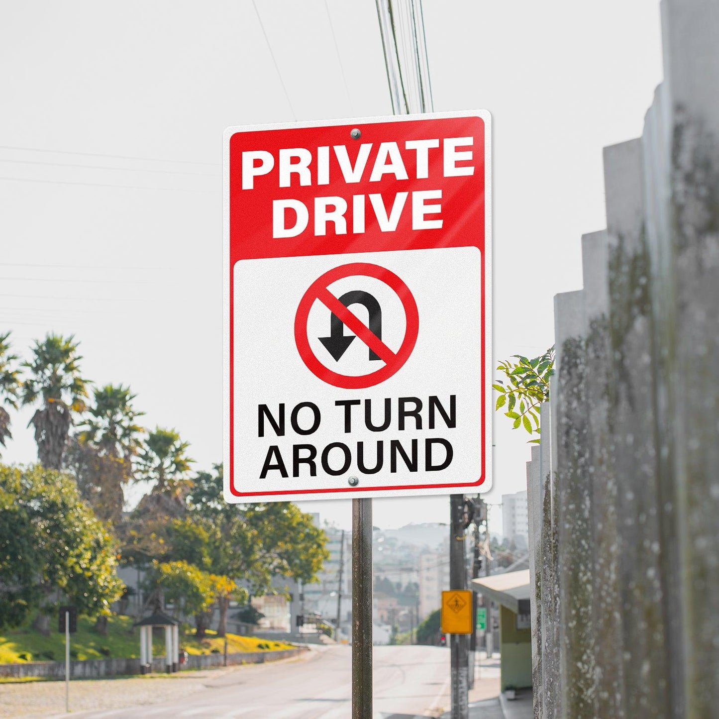 Private Drive 10 x 14 Inch Aluminum Sign