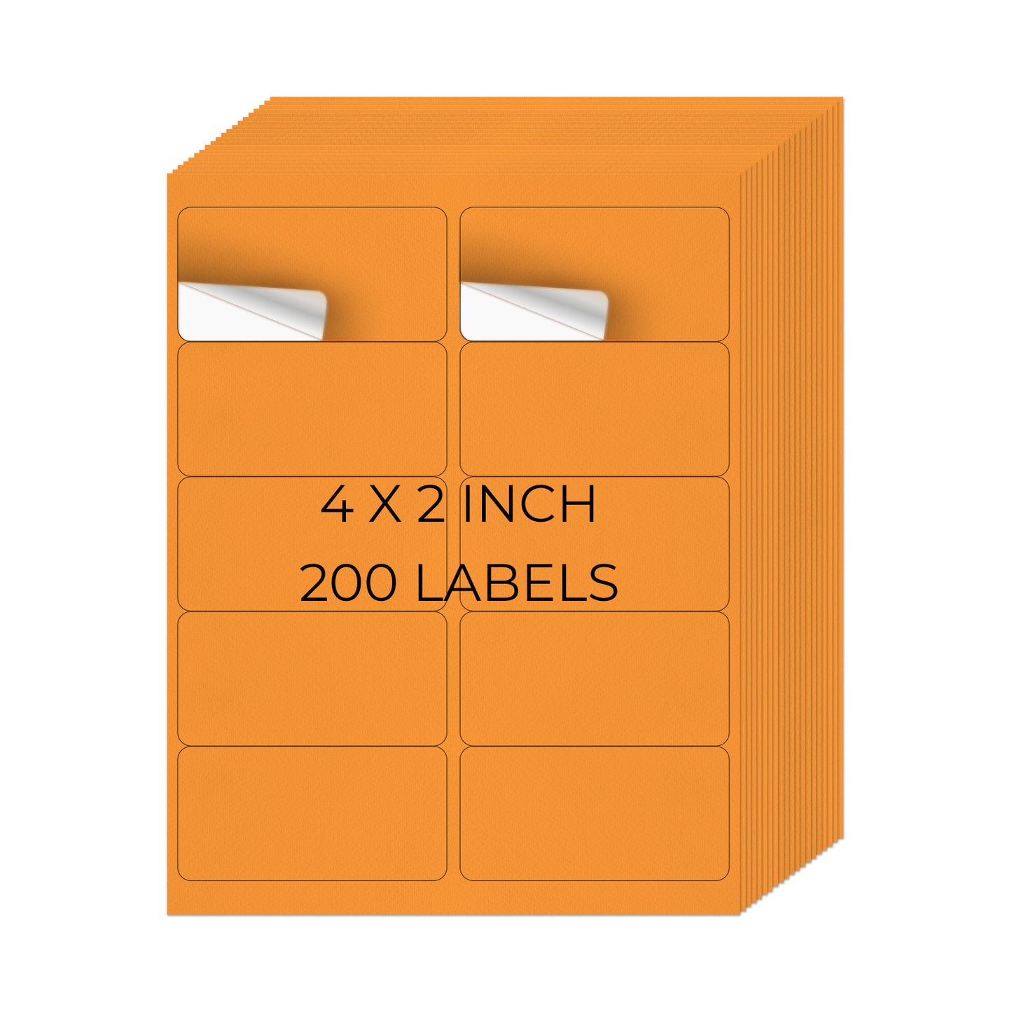 2" × 4" Printer Labels