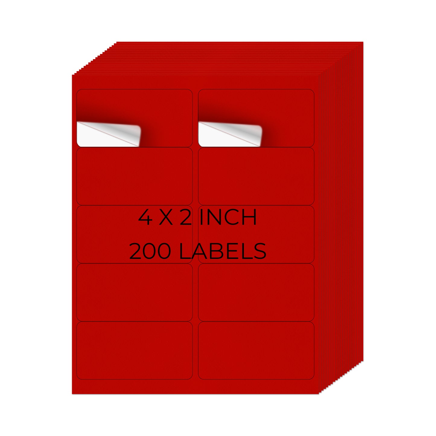 2" × 4" Printer Labels