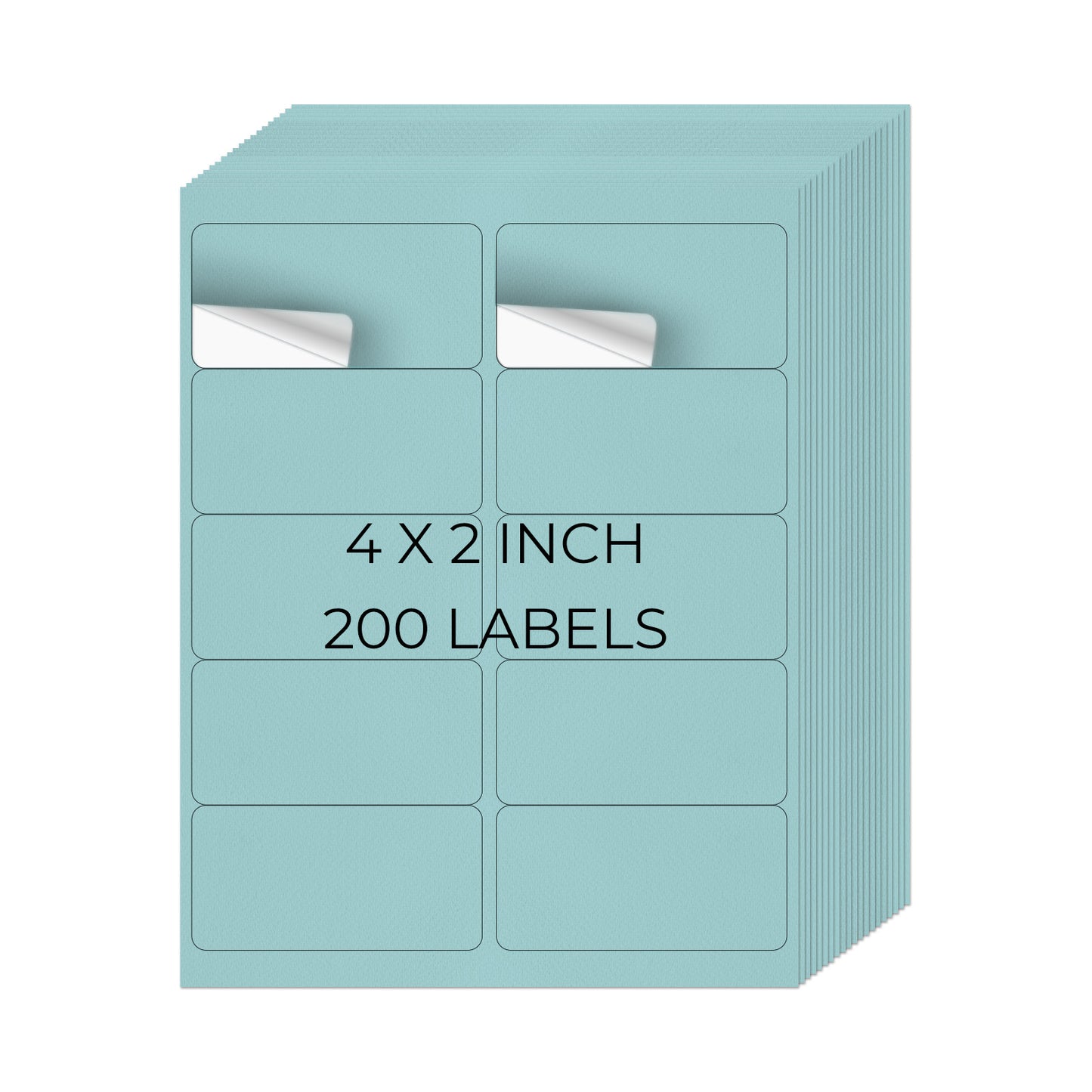 2" × 4" Printer Labels