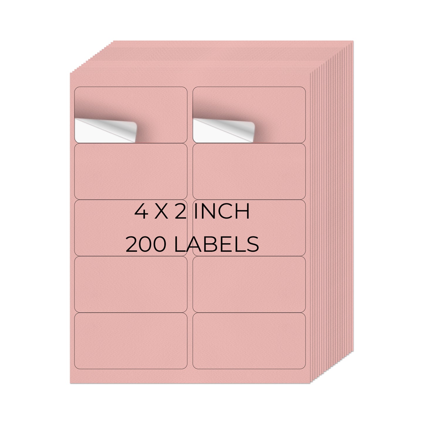 2" × 4" Printer Labels